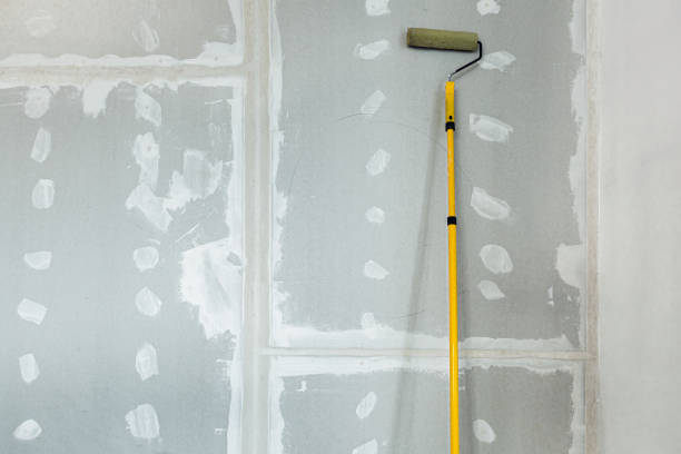 Best Mold Remediation for Healthcare Facilities  in Oglethorpe, GA