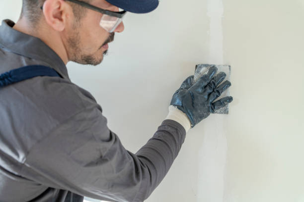 Best Mold Prevention Services  in Oglethorpe, GA