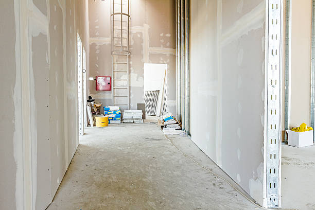 Best Crawl Space Mold Remediation  in Oglethorpe, GA